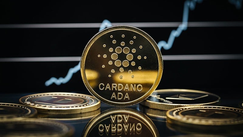 کاردانو - Cardano