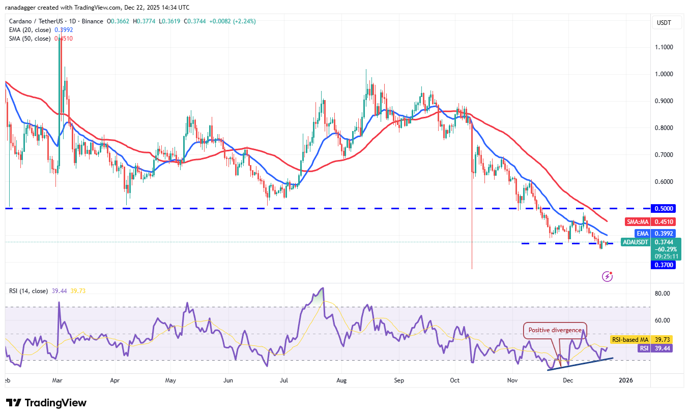 نمودار روزانه کاردانو - ۲ دی ۱۴۰۴