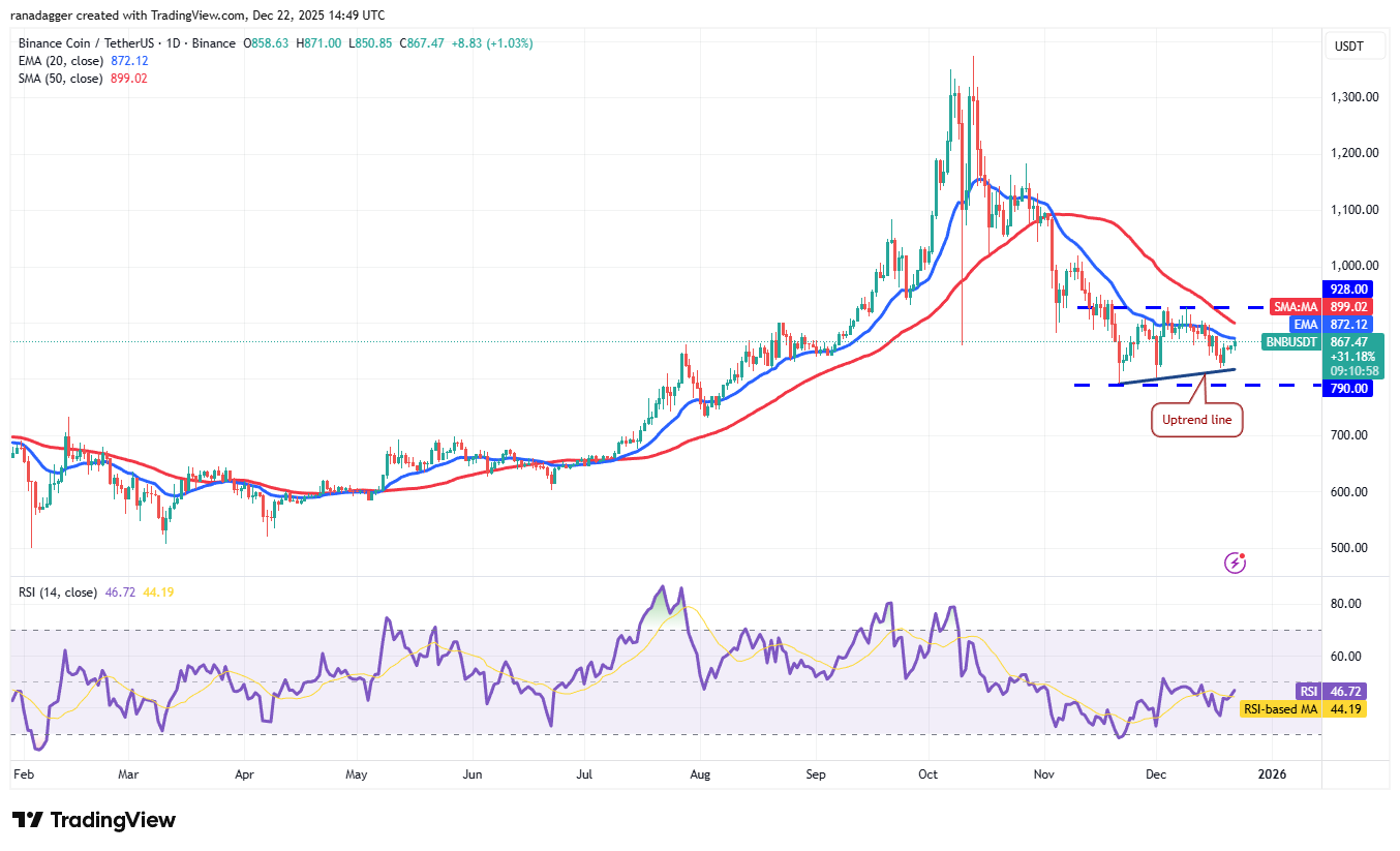 نمودار تکنیکال دبایننس کوین - ۲ دی ۱۴۰۴